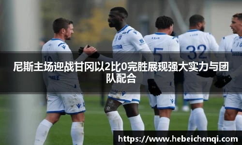 尼斯主场迎战甘冈以2比0完胜展现强大实力与团队配合